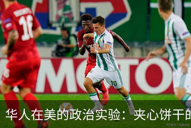 华人在美的政治实验：夹心饼干的身份焦虑