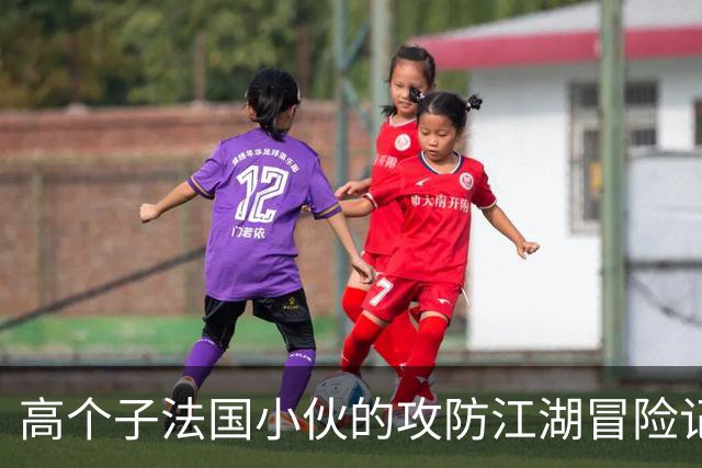 高个子法国小伙的攻防江湖冒险记